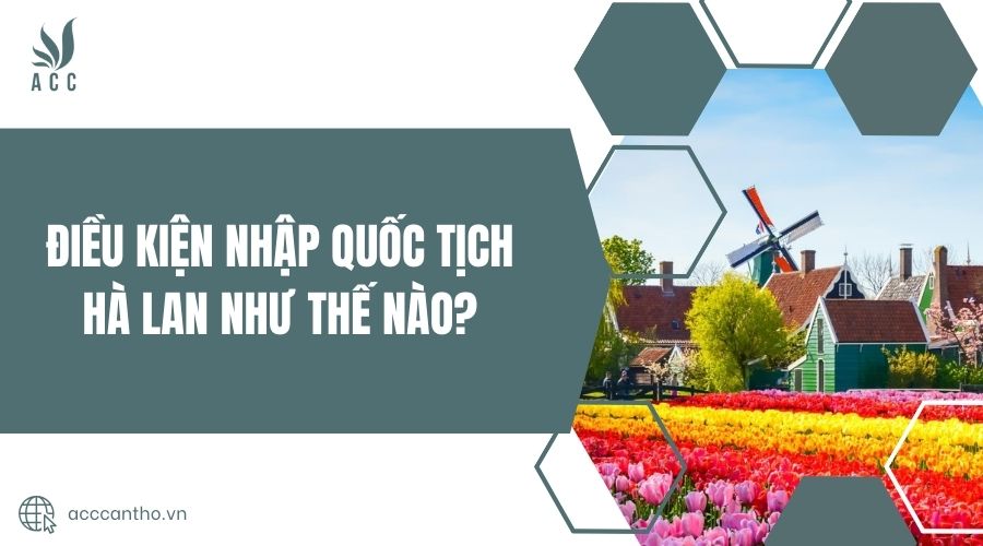 Điều kiện nhập quốc tịch Hà Lan như thế nào