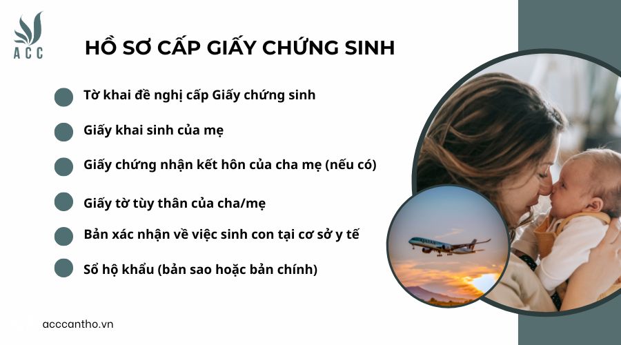Hồ sơ cấp giấy chứng sinh