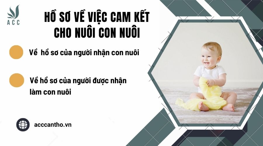 Hồ sơ về việc cam kết cho nuôi con nuôi