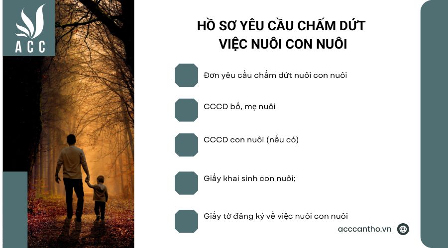 Hồ sơ yêu cầu chấm dứt việc nuôi con nuôi