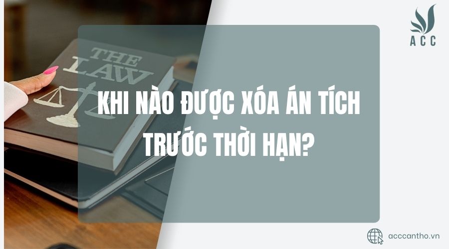 Khi nào được xóa án tích trước thời hạn