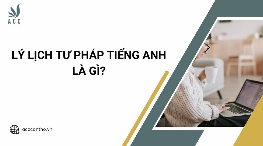 Lý lịch tư pháp tiếng anh là gì