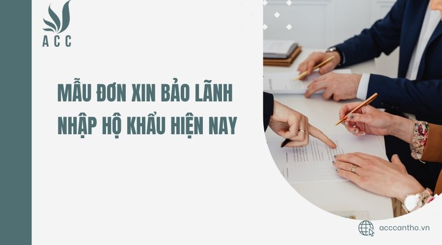 Mẫu đơn xin bảo lãnh nhập hộ khẩu hiện nay