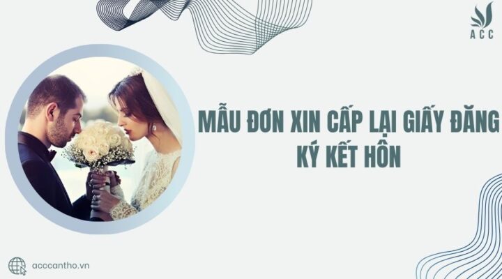 Mẫu đơn xin cấp lại giấy đăng ký fv88 đá gà trực tiếp