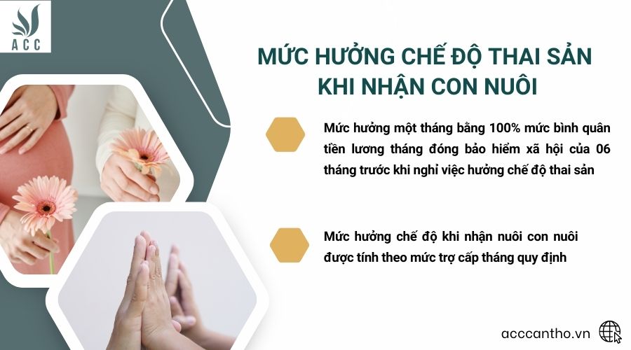Mức hưởng chế độ thai sản khi nhận con nuôi