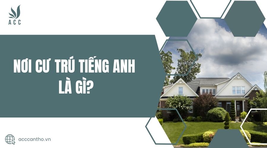 Nơi cư trú tiếng Anh là gì?