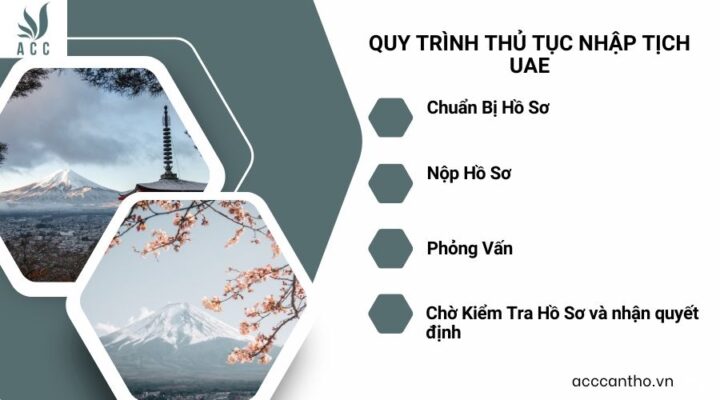 Quy Trình Thủ Tục Nhập Tịch UAE