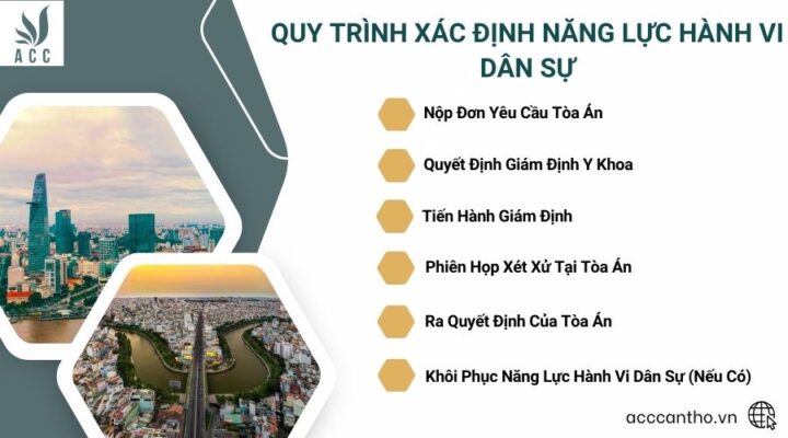 Quy Trình Xác Định Năng Lực Hành Vi Dân Sự
