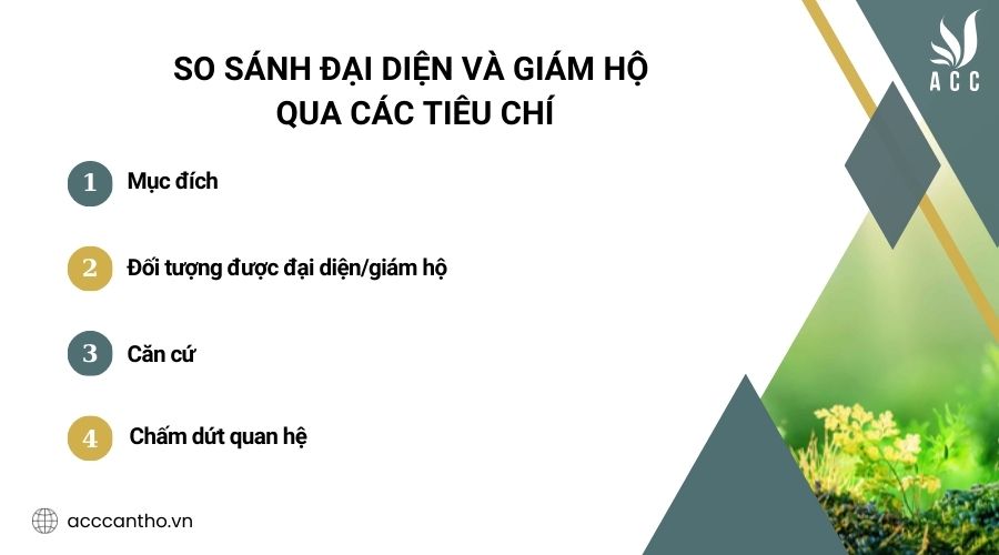So sánh đại diện và giám hộ qua các tiêu chí