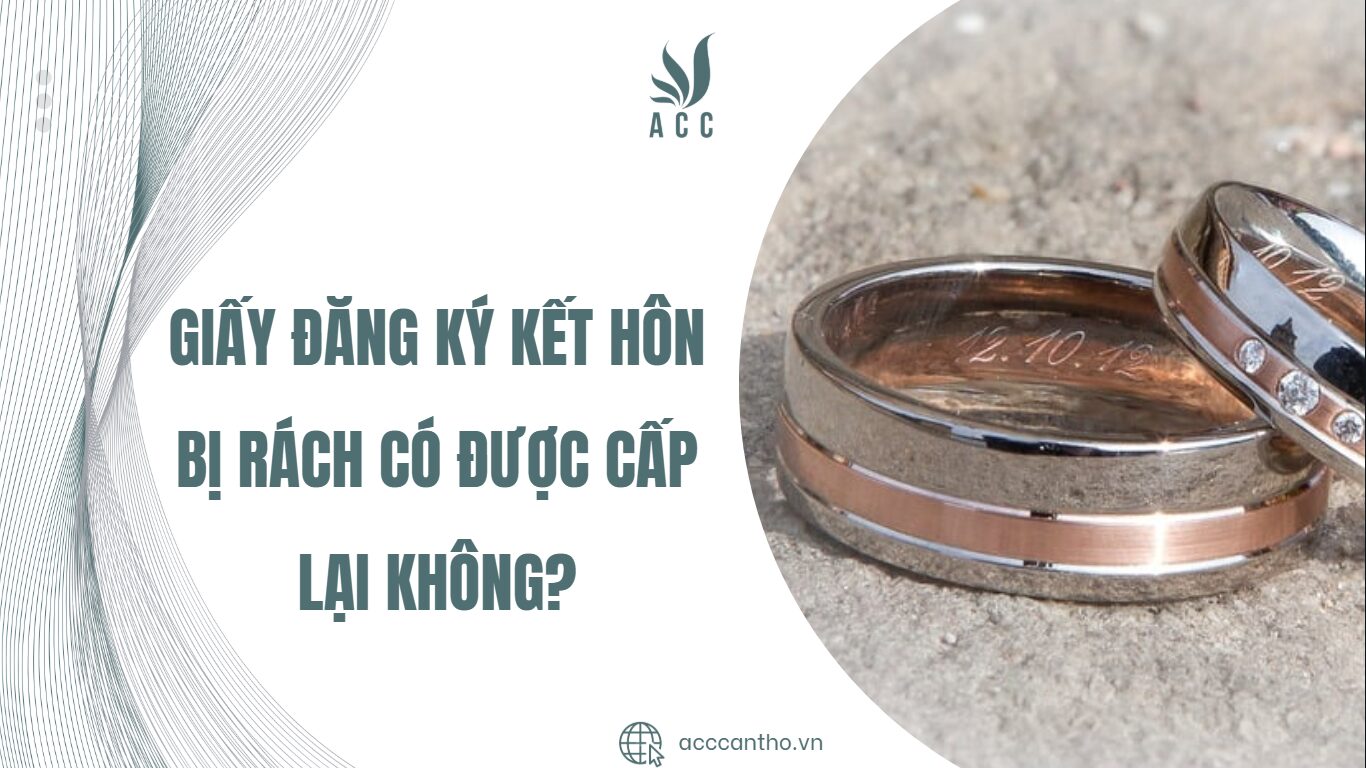 Giấy đăng ký fv88 đá gà trực tiếp bị rách có được cấp lại không?