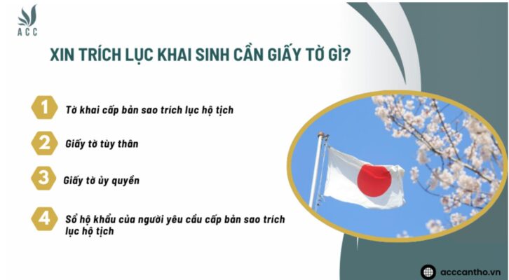 Xin trích lục khai sinh cần giấy tờ gì?