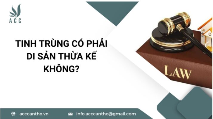 Tinh trùng có phải di sản thừa kế không?
