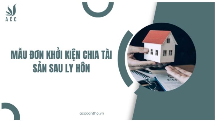 Mẫu đơn khởi kiện chia tài sản sau ly hôn