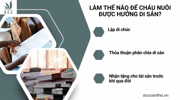 Làm thế nào để cháu nuôi được hưởng di sản