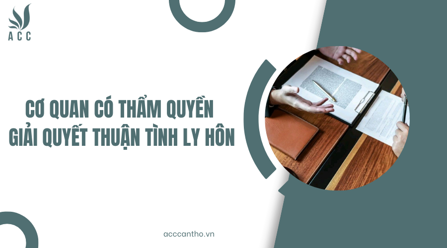 Cơ quan có thẩm quyền giải quyết thuận tình ly hôn