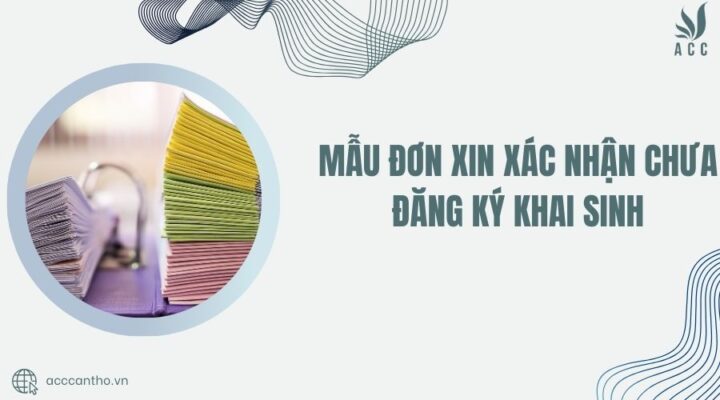 Mẫu đơn xin xác nhận chưa đăng ký khai sinh