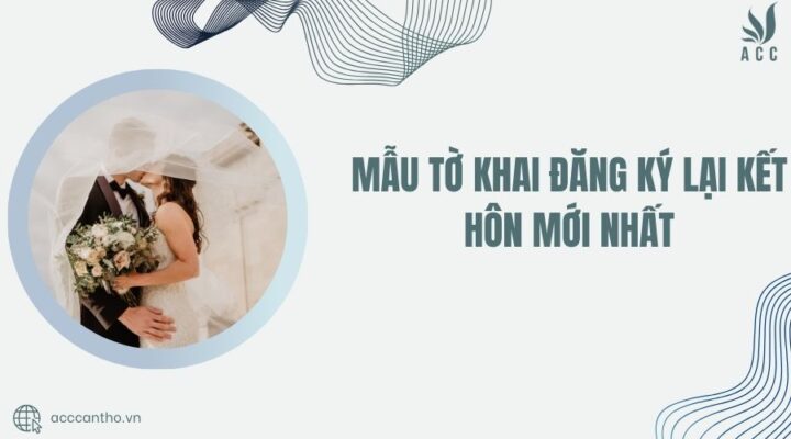 Mẫu tờ khai đăng ký lại fv88 đá gà trực tiếp
