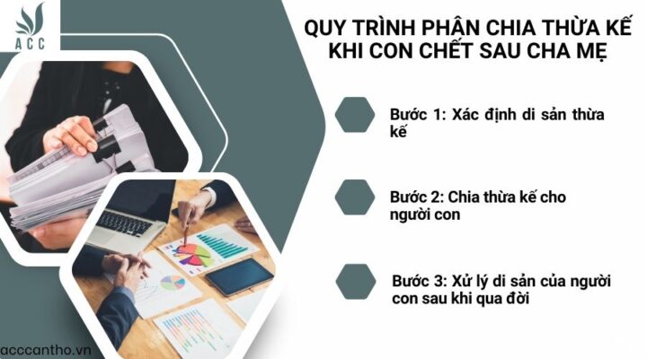 Quy trình phân chia thừa kế khi con chết sau cha mẹ
