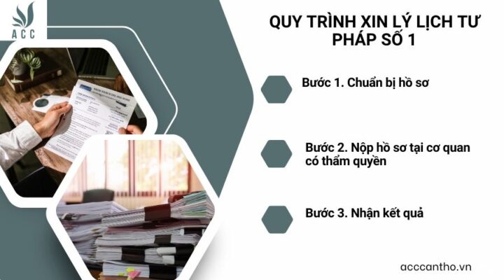 Quy trình xin lý lịch tư pháp số 1