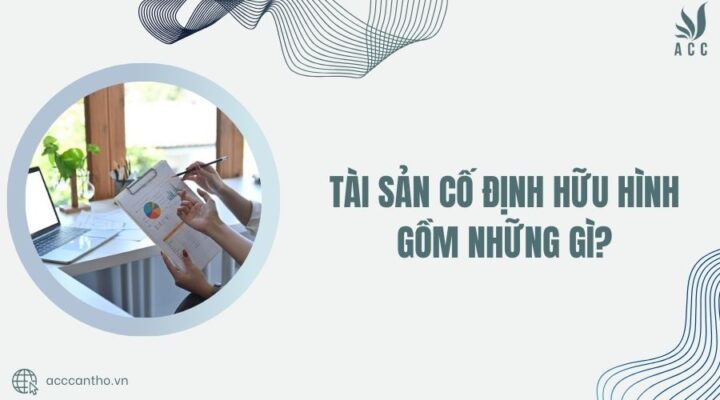 Tài sản cố định hữu hình gồm những gì