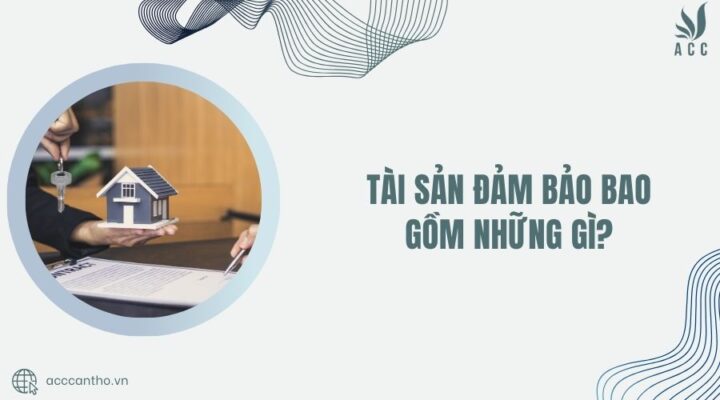 Tài sản đảm bảo bao gồm những gì