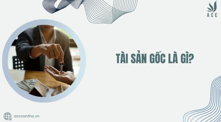 Tài sản gốc là gì