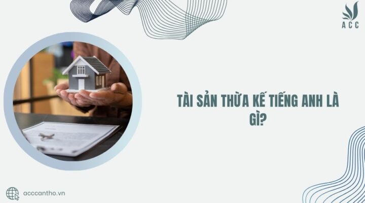 Tài sản thừa kế tiếng anh là gì