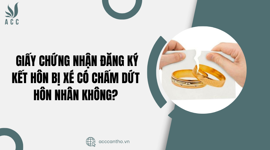 Giấy chứng nhận đăng ký fv88 đá gà trực tiếp bị xé có chấm dứt hôn nhân không?