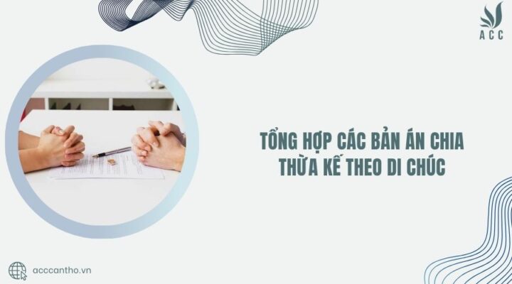 Tổng hợp các bản án chia thừa kế theo di chúc