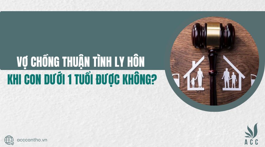 thuận tình ly hôn khi con dưới 1 tuổi