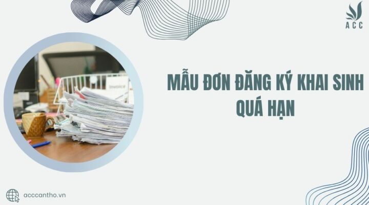 Mẫu đơn đăng ký khai sinh quá hạn