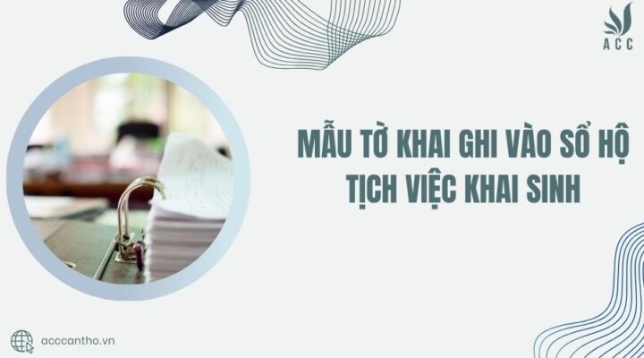 Mẫu tờ khai ghi vào sổ hộ tịch việc khai sinh