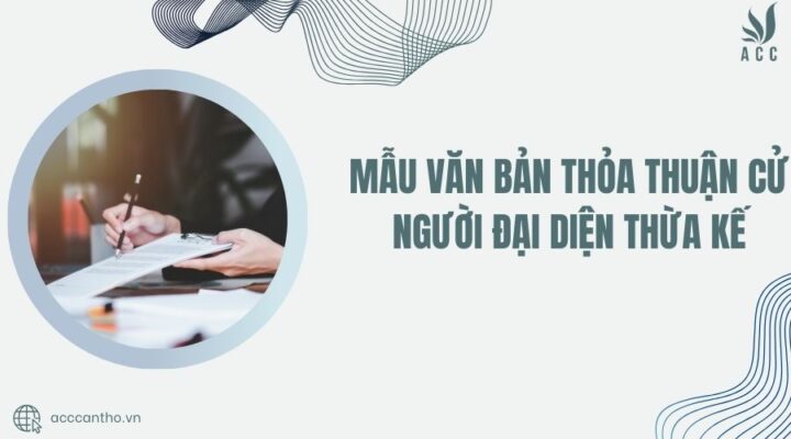 Mẫu văn bản thỏa thuận cử người đại diện thừa kế