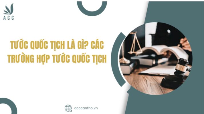Tước quốc tịch là gì? Các trường hợp tước quốc tịch