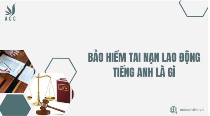 Bảo hiểm tai nạn fv88 link tiếng anh là gì?