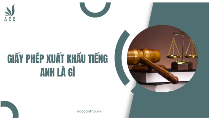 fv88 xuất khẩu tiếng Anh là gì