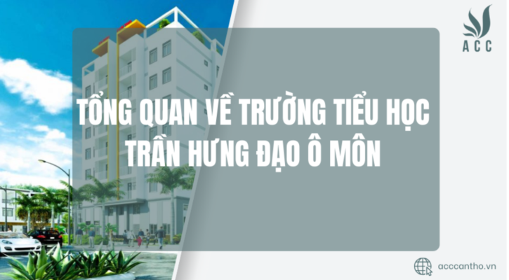 Tổng quan về Trường Tiểu học Trần Hưng Đạo Ô Môn