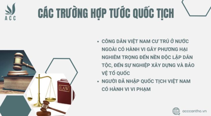 Các trường hợp tước quốc tịch