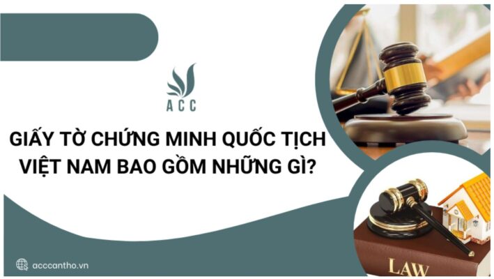 Giấy tờ chứng minh quốc tịch Việt Nam bao gồm những gì