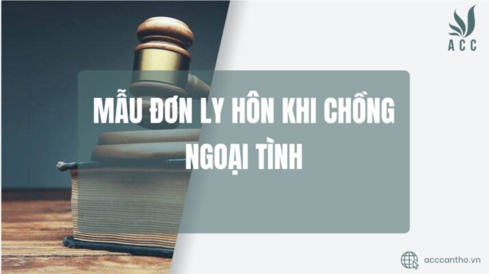 Mẫu đơn ly hôn khi chồng ngoại tình