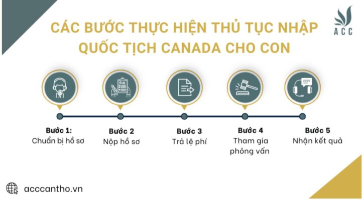 Các bước thực hiện thủ tục nhập quốc tịch Canada cho con 