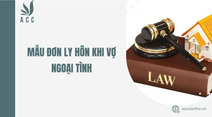 Mẫu đơn ly hôn khi vợ ngoại tình