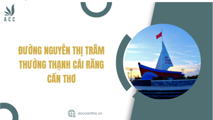Đường Nguyễn Thị Trâm Thường Thạnh Cái Răng Cần Thơ