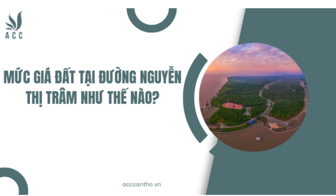 Mức giá đất tại đường Nguyễn Thị Trâm như thế nào?