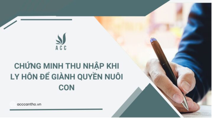Chứng minh thu nhập khi ly hôn để giành quyền nuôi con