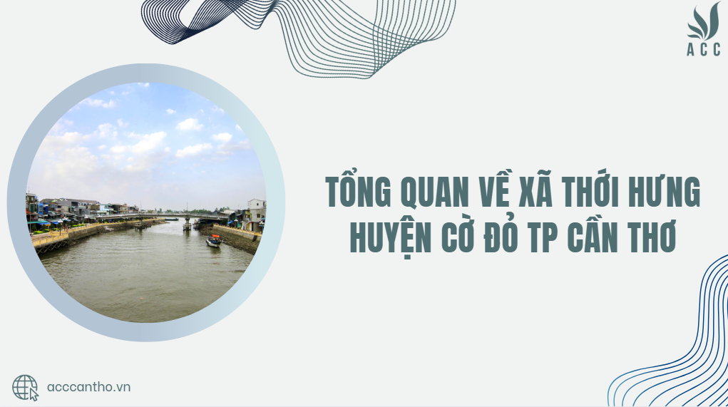 Tổng quan về xã Thới Hưng huyện Cờ Đỏ TP Cần Thơ