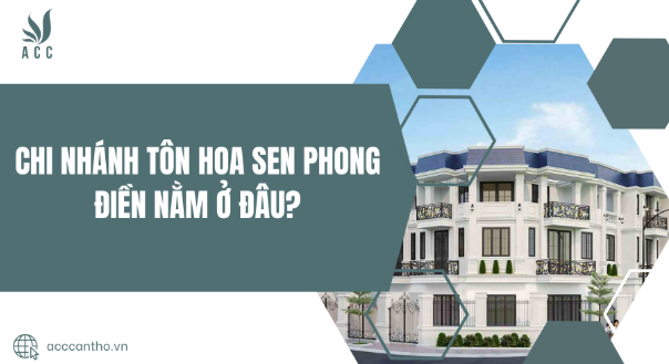 Chi nhánh Tôn Hoa Sen Phong Điền nằm ở đâu?
