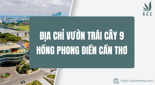 Địa chỉ Vườn trái cây 9 hồng Phong Điền Cần Thơ