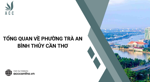 Tổng quan về Phường Trà An Bình Thủy Cần Thơ