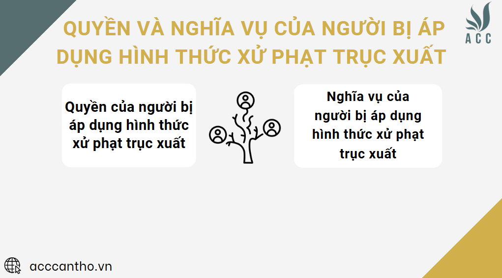 Quyền và nghĩa vụ của người bị áp dụng hình thức xử phạt trục xuất